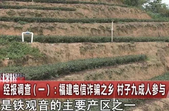 乐鱼【江湖】从驻马店、到安溪“十亿群众九亿骗另有一亿在熬炼”(图7)