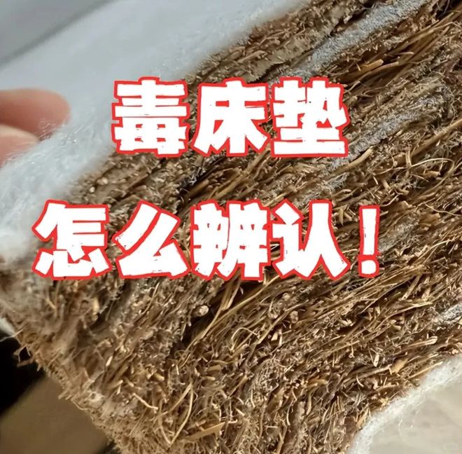leyu乐鱼官网5个坑人糊口用品家里有的赶快扔了吧可别吃暗亏！(图5)